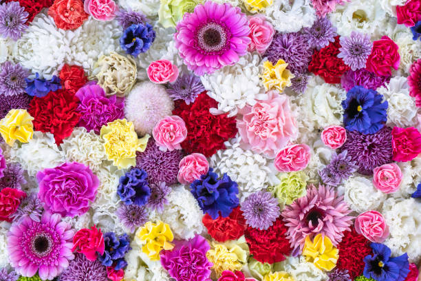 istock Brightly colored flowers floating in the water 2009687537