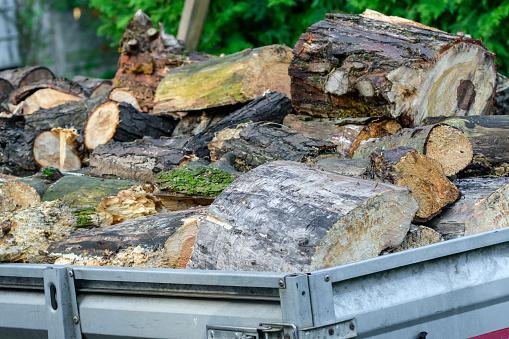 Wood cut into pieces loaded onto a trailer, closeup isolated