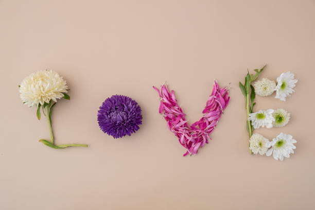 istock Creative minimalistic design of flowers petals and leafs making word text LOVE on beige background. Romantic pastel flowers. Modern aesthetic 2009687871