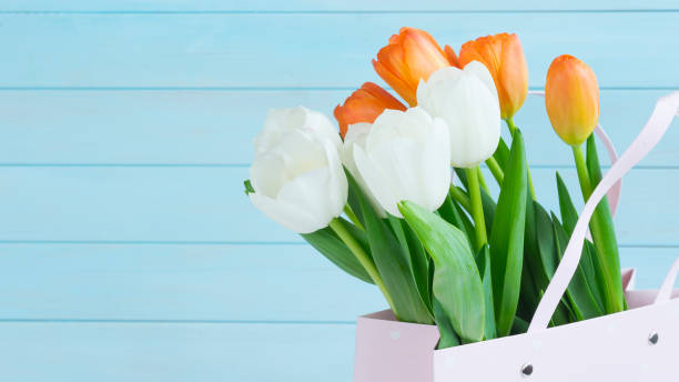 Beautiful tulips in a bag Beautiful tulips in a bag mothers day horizontal close up flower head stock pictures, royalty-free photos & images