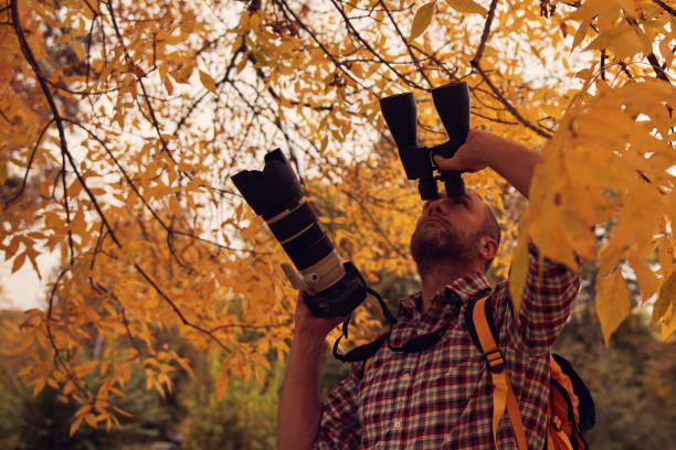 istock Man using binoculars and camera for bird and animal watching in nature. 2009708565
