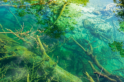 limestone bottom at Plitvice lakes on a cloudy day in autumn. travel around Europe