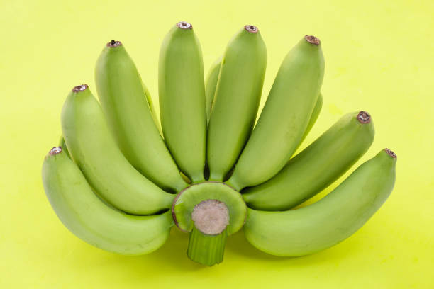 texture and background of fresh tropical banana fruit close up. green banana