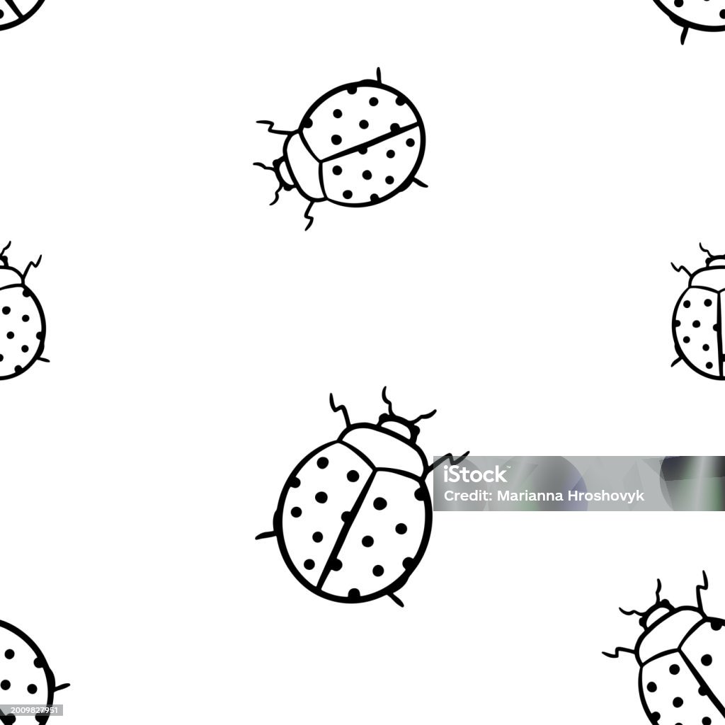 Black Outline Ladybugs Vector Seamless Pattern Ladybug Bug Background ...