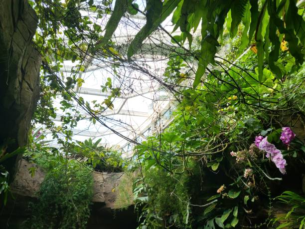 Botanic Garden