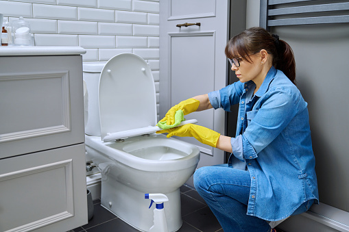 Woman housewife cleaning service worker in protective gloves using cleaning agent detergent professional rag to clean toilet in bathroom. Hygiene, disinfection, housekeeping, housework, housecleaning