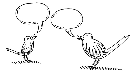 Hand-drawn vector drawing of a Two Birds Communication Concept. Black-and-White sketch on a transparent background (.eps-file). Included files are EPS (v10) and Hi-Res JPG.