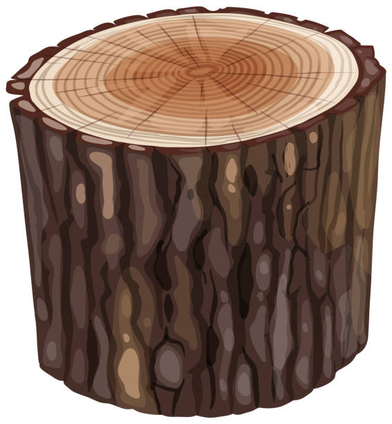 ilustrações de stock, clip art, desenhos animados e ícones de realistic tree stump with textured bark and rings. - wood lumber industry tree ring wood grain