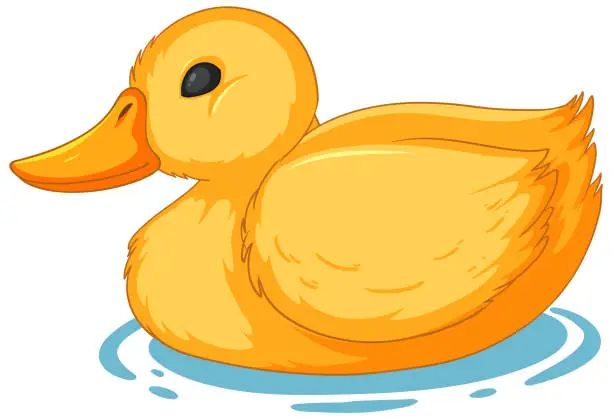 Vector illustration of Vector illustration of a yellow duckling in water