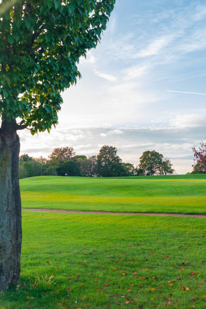 Great Hollands Park in Bracknell, Berkshire