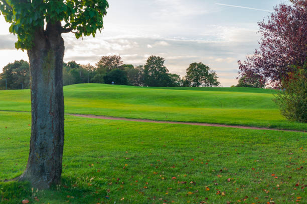 istock Great Hollands Park in Bracknell, Berkshire 2009933263