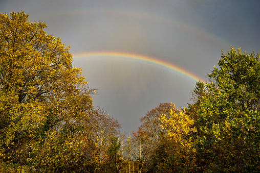 Rainbow plus secondary rainbow over a forest clearing with autumn-colored deciduous trees in the warm evening light of the sun after a thunderstorm