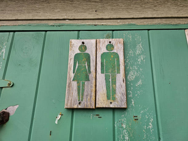 Temporary portable unisex toilet on a street.