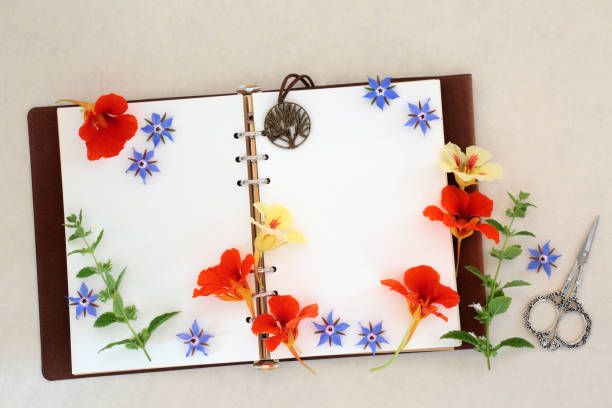 istock Herbs and Flowers for Cold and Flu Remedy 2009940542