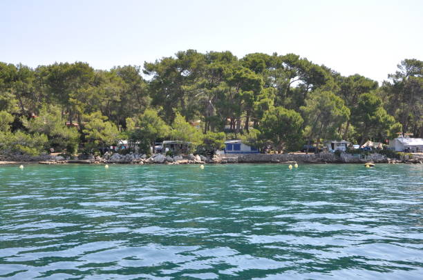 istock Camping place on Croatian coast, pine trees and coastline from seaside. 2009974439