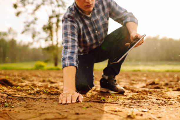 istock Male hands touching soil on the field. 2010000714