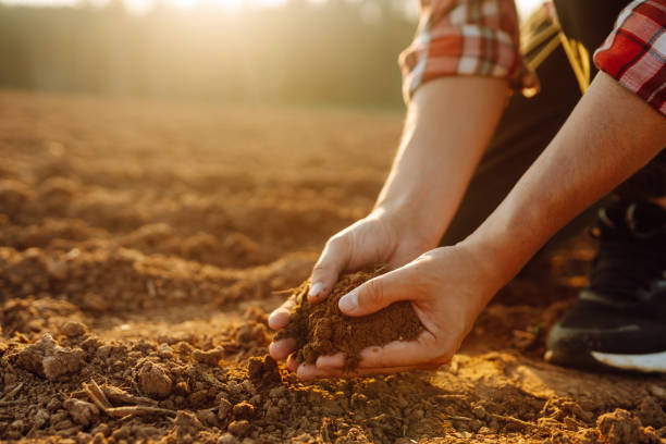 istock Farmer holding soil in hands close-up. 2010002320