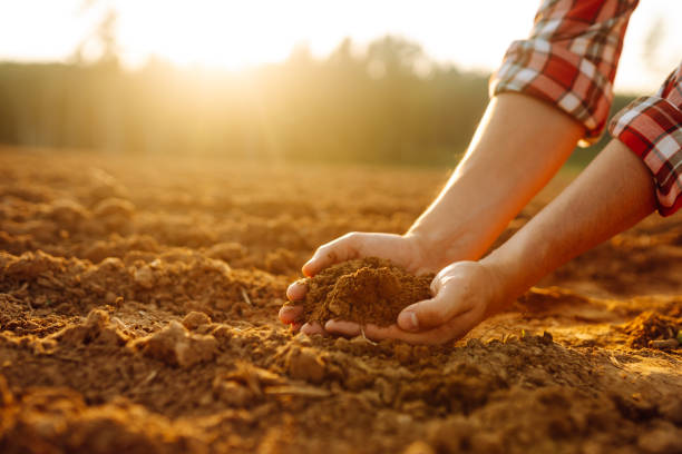 istock Farmer holding soil in hands close-up. 2010002327