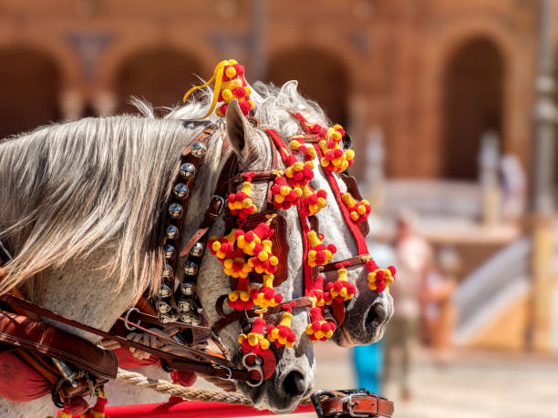 istock Adorned Horses in Traditional Festival 2010023637