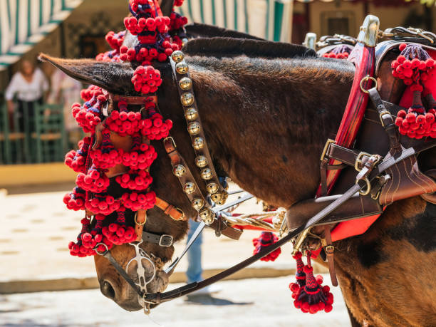 istock Elegant Horses Adorned for Seville April Fair Celebration 2010030507
