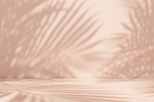 Palm Leaf Shadows on Beige Background with Textured Surface