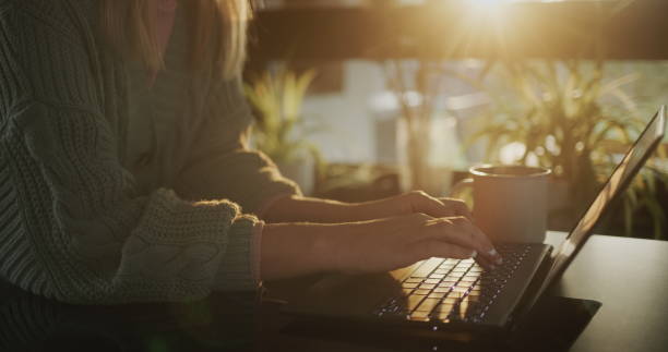 istock Mature woman using laptop 2010083718