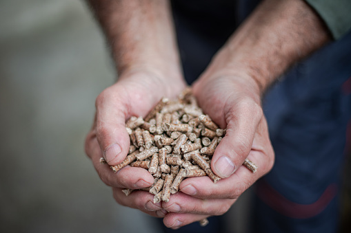 Firewood pellet in human hands