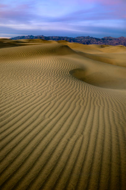 istock Sunrise over sand dunes with purple sky and mountains in the backdrop. 2010138117