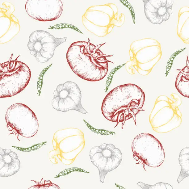 Vector illustration of Vector food seamless pattern. Art line , fresh vegetables background for menu, restaurant cafe design. Vegan eating habits, healthy food :red tomato, sweet pepper, garlic and peace