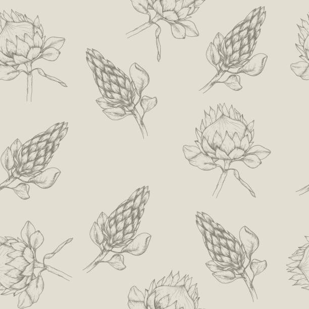 Protea Pattern 320+ Protea Pattern Black Stock Photos, Pictures & Royalty-Free Images ...