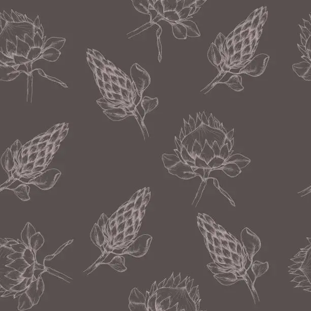Vector illustration of Vector floral seamless pattern with tropical protea flowers on black. Art line ,hand drawn ink african rose background for florist shop, wedding, invitation design