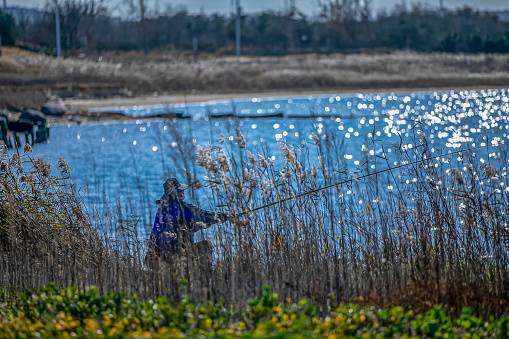 A fishing enthusiast is fishing with a fishing rod by the lake