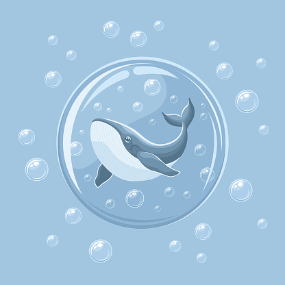 Gray blue whale in a glass sphere with bubbles around, vector flat illustration