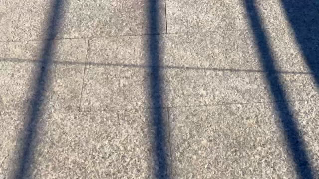 Shadow lines over tiled floor time lapse