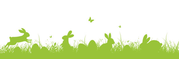 ilustraciones, imágenes clip art, dibujos animados e iconos de stock de fondo de pascua. estandarte de pascua con hierba verde y conejito. conejito de pascua o conejo con huevos y mariposa en la hierba - daffodil flower silhouette butterfly