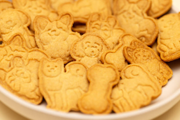 istock plate of shortbread cookies with a dog and a bone pattern. close-up 2010255997