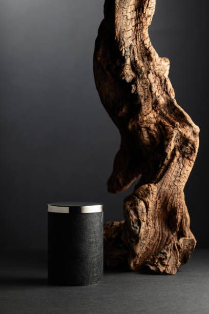 istock Black empty podium and dried snag on a black background. 2010258258