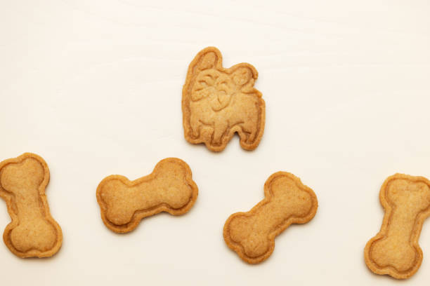 istock Bulldog cookies and bone biscuits on the table. Copy space 2010258875
