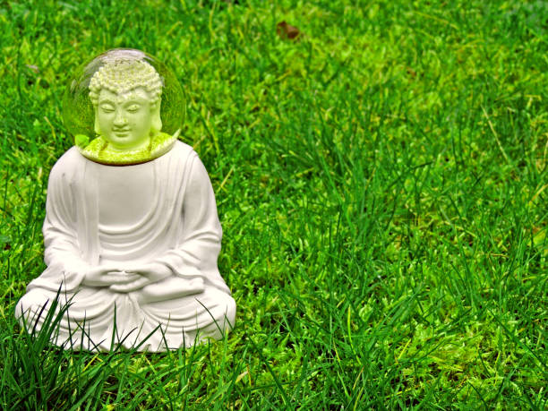 You can't say no to a Buddha