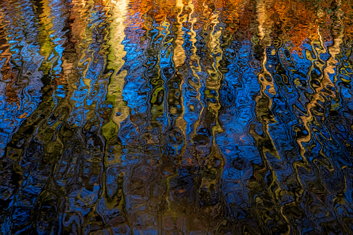 Colourful autumn trees in abstract water reflection.