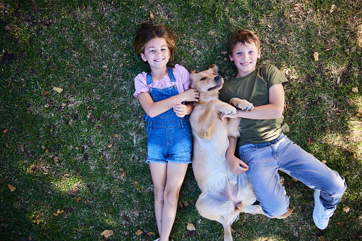 Smiling little brother and sister lying with their golden retriever outside on their lawn in summer