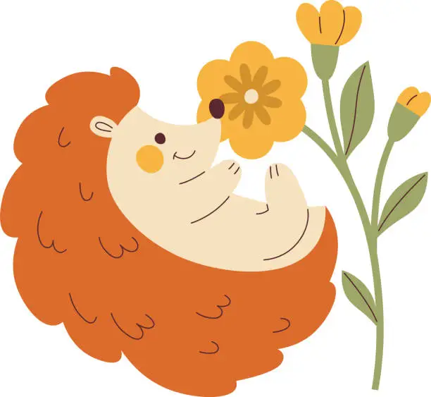 Vector illustration of elements_cute_hedgehogs_with_spring_flowers