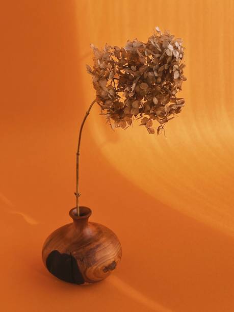 istock dried flower in a wooden vase 2010356403