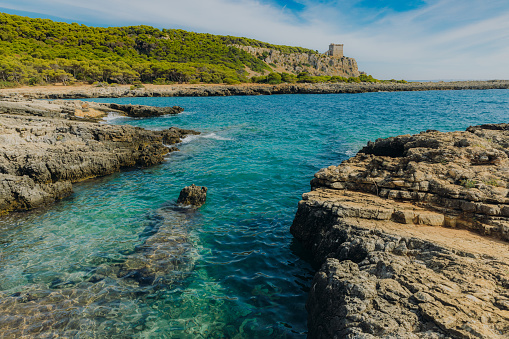 Dramatic summer landscape with crystal blue sea, wild rocky beach and the woodland in Puglia, South Italy