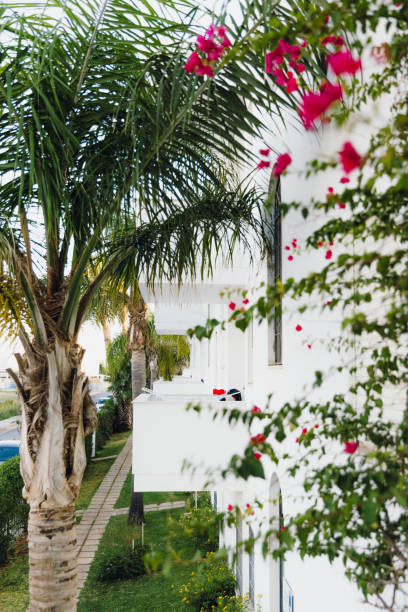 istock Tropical Vibes in South Italy 2010467419
