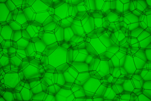 macrophoto of structures in green colored water soap bubble