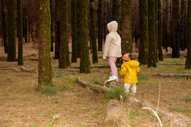 istock Children playing in the forest on their backs. 2010473877