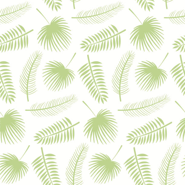 ilustrações, clipart, desenhos animados e ícones de palm leaves seamless pattern - pattern coconut palm tree frond textile