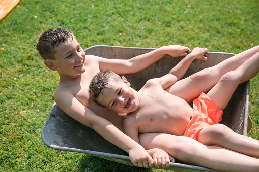 Brothers playing sitting inside a wheelbarrow in the garden during summer