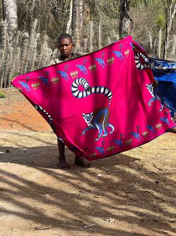 Benetsy, Atsimo-Andrefana,Madagascar - November 10,2023 : A young man displays indigenous silk embroidery of lemurs on red background